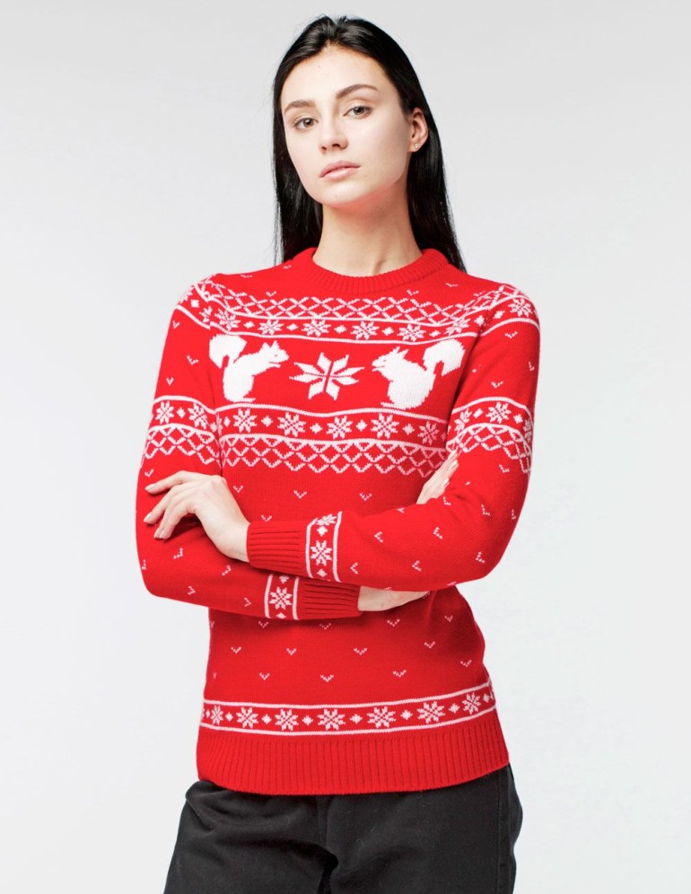 Женский свитер с белкой - фото1