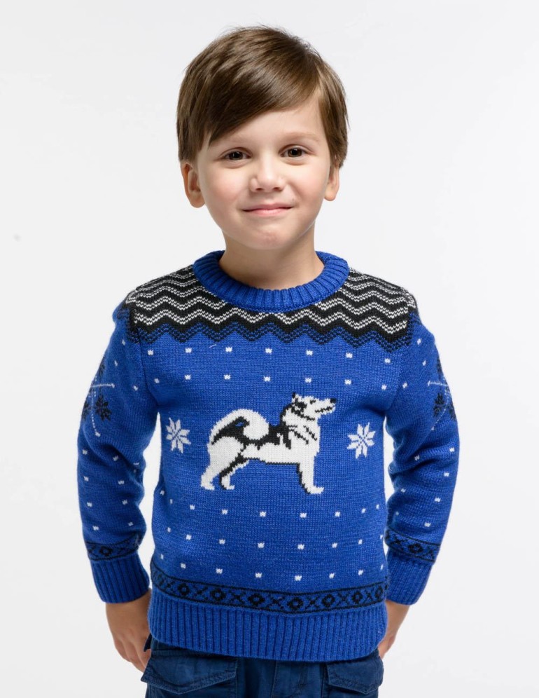 Детский свитер с хаски - фото1