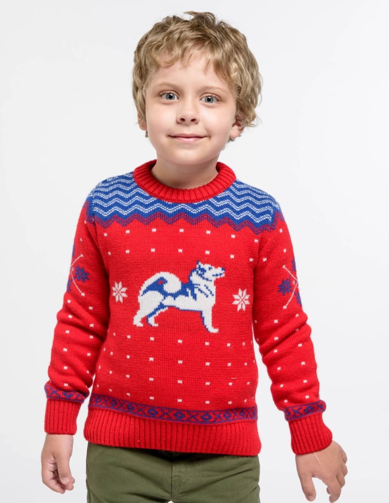 Детский свитер с хаски - фото1