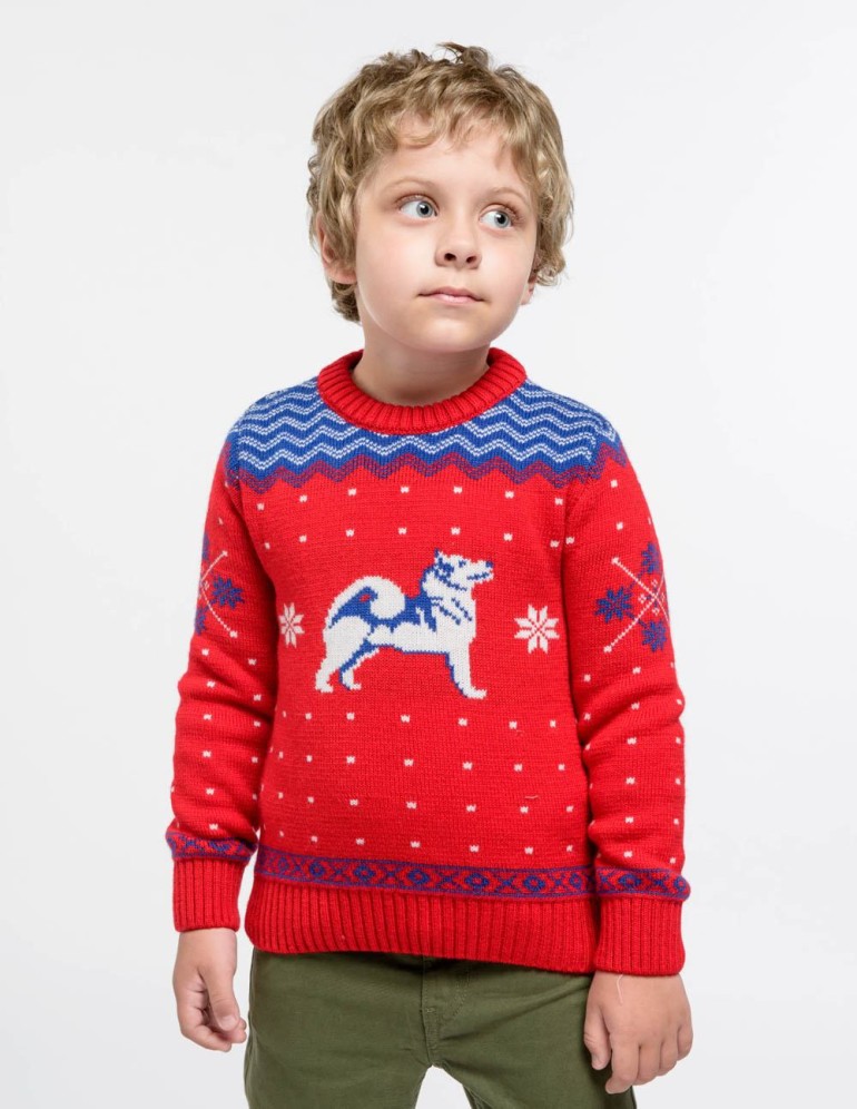 Детский свитер с хаски - фото2