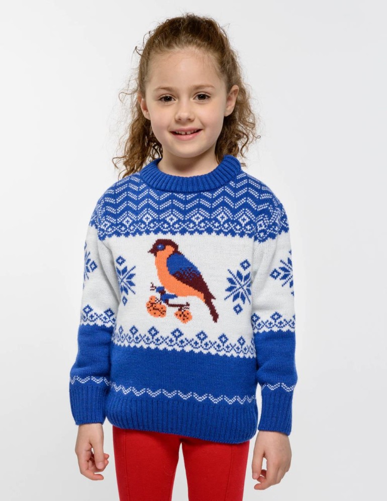 Детский свитер со снегирем - фото1