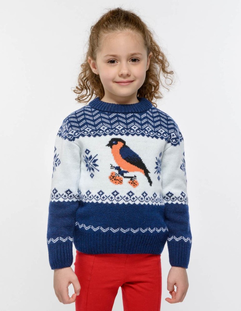 Детский свитер со снегирем - фото1